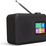 Portable DAB Radio