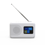 Portable DAB Radio